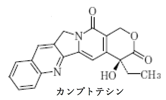 イリノテカンは植物アルカロイドのカンプトテシンの誘導体 96回問11d